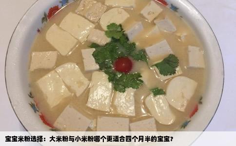 宝宝米粉选择:大米粉与小米粉哪个更适合四个月半的宝宝?